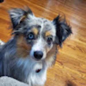 Meet your Posher, Marie